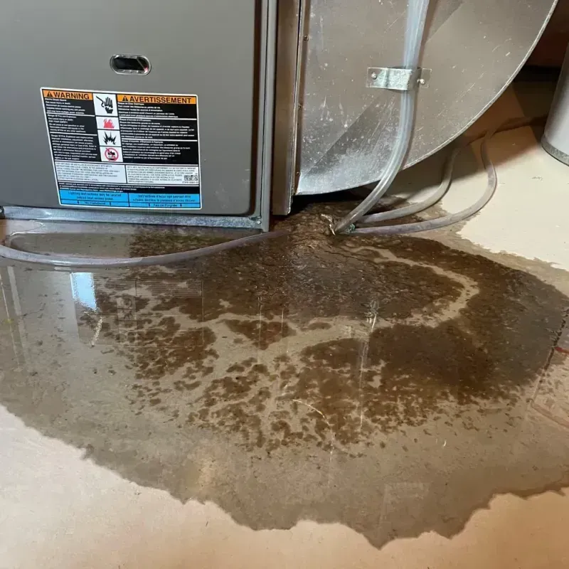 Appliance Leak Cleanup in Gasport, NY